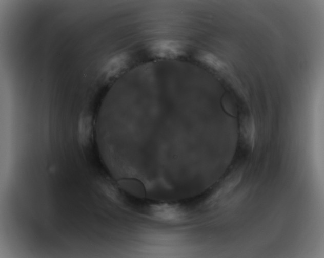 X0000088200511200705221725