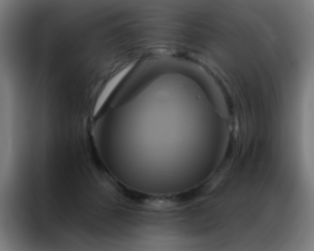 X0000088200512200705221725