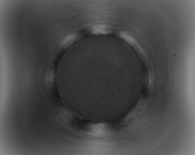 X0000088200513200705221725
