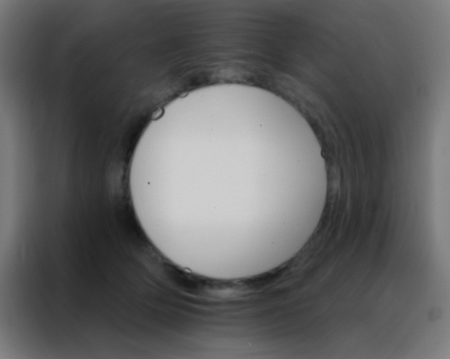 X0000088200514200705221725