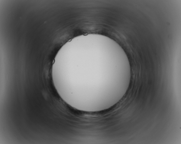 X0000088200515200705221725