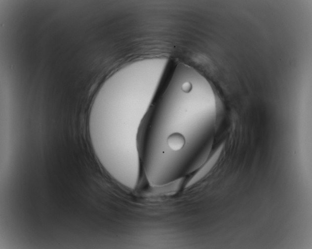 X0000088200516200705221725
