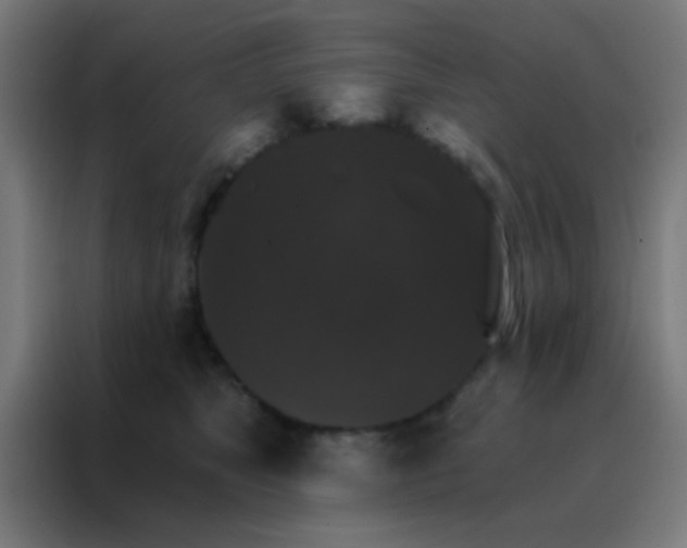 X0000088200517200705221725