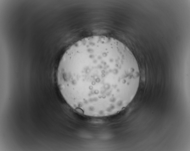 X0000088200519200705221725
