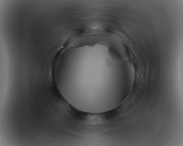 X0000088200520200705221725