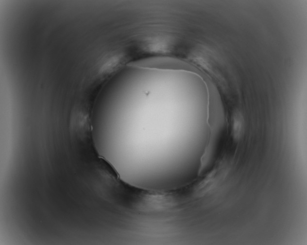 X0000088200521200705221725