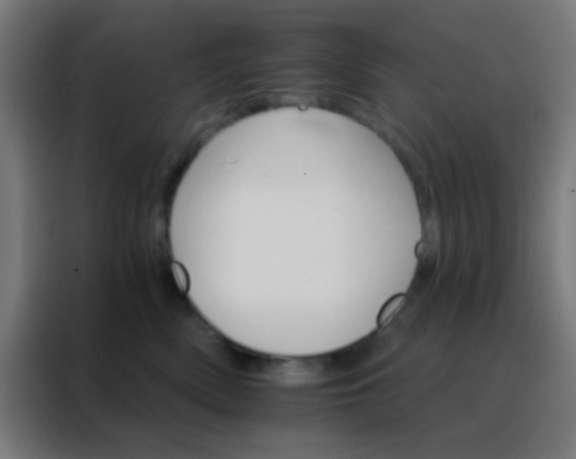 X0000088200522200705221725