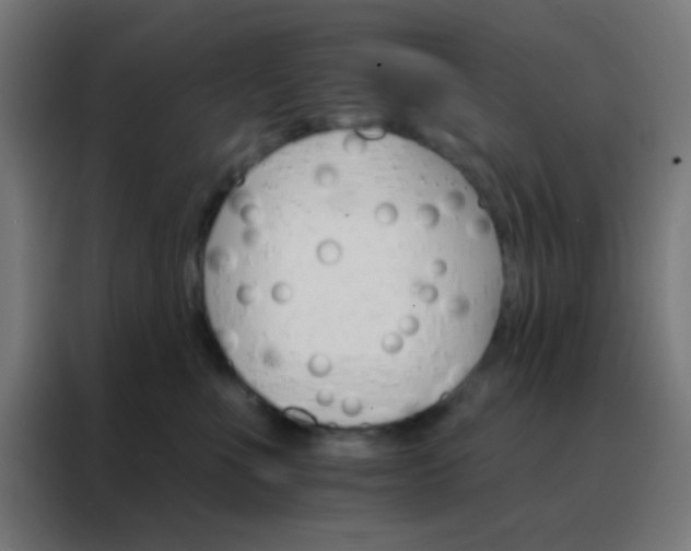 X0000088200523200705221725