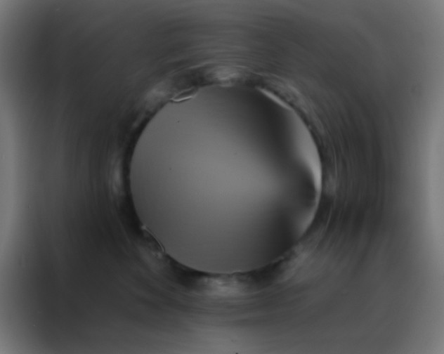 X0000088200524200705221725