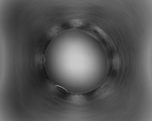 X0000088200525200705221725