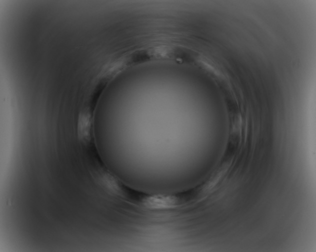 X0000088200526200705221725