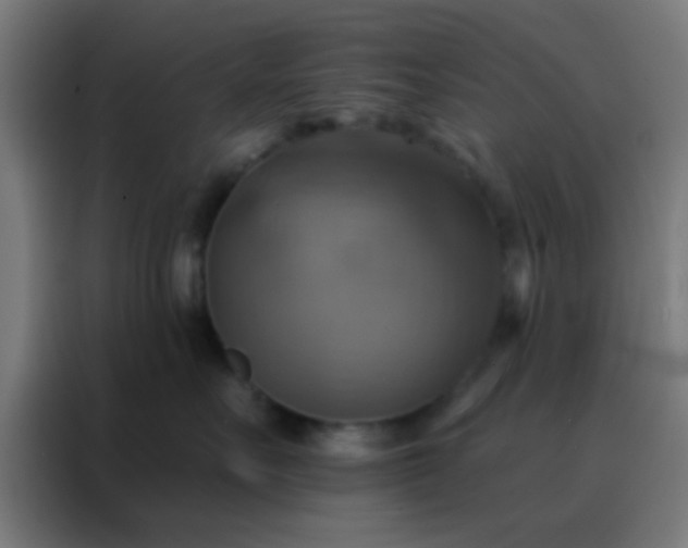 X0000088200527200705221725