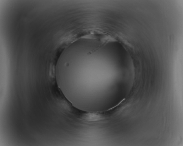 X0000088200528200705221725