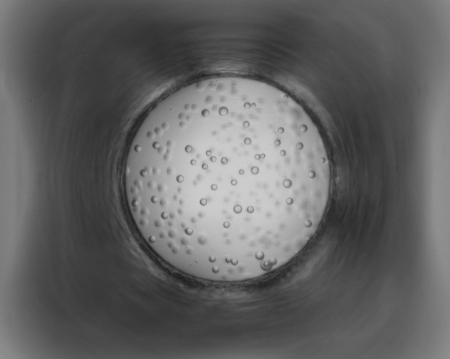 X0000088200529200705221725