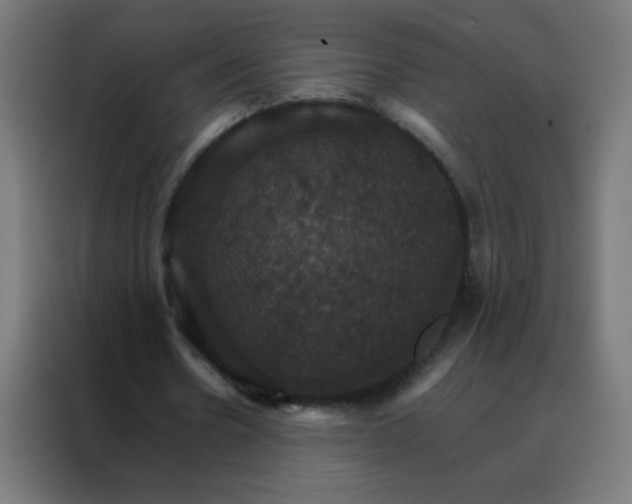X0000088200530200705221725