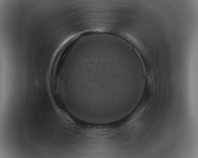 X0000088200532200705221725
