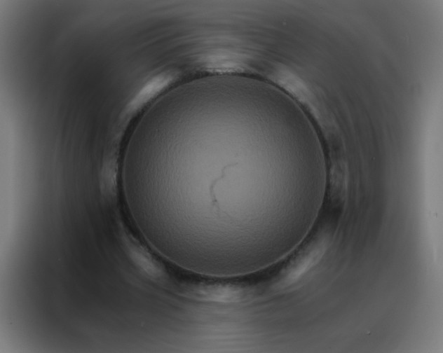X0000088200533200705221725