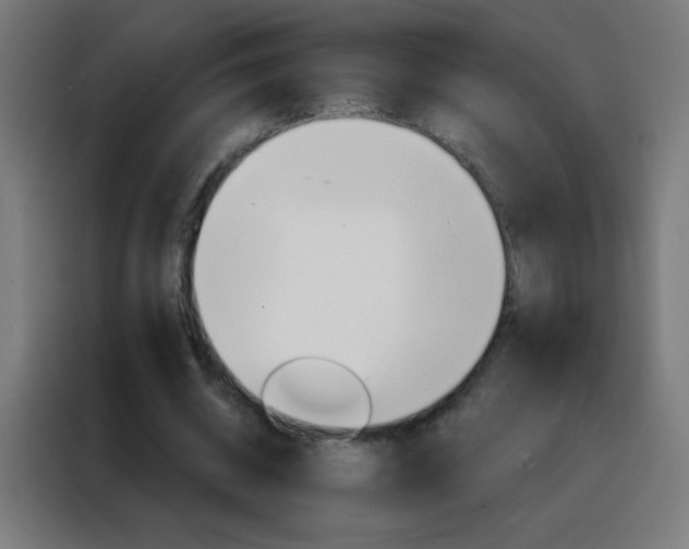 X0000088200534200705221725
