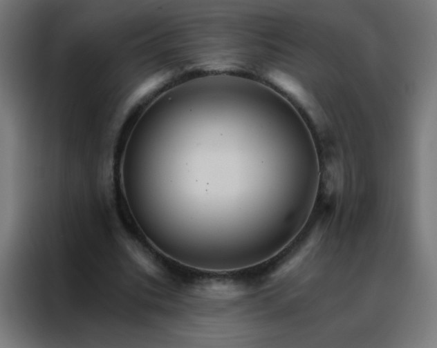 X0000088200535200705221725