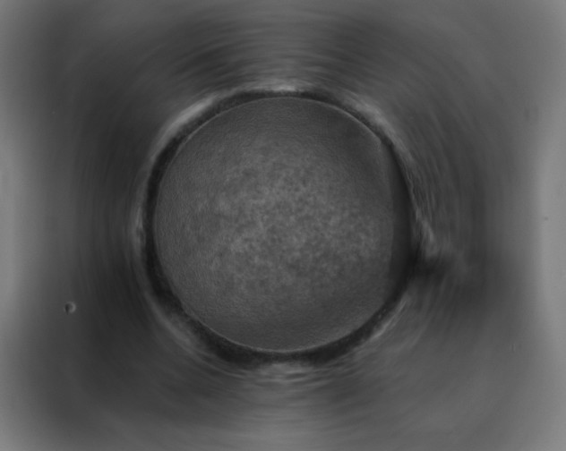 X0000088200536200705221725