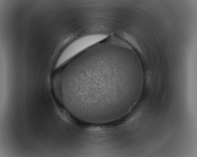 X0000088200538200705221725