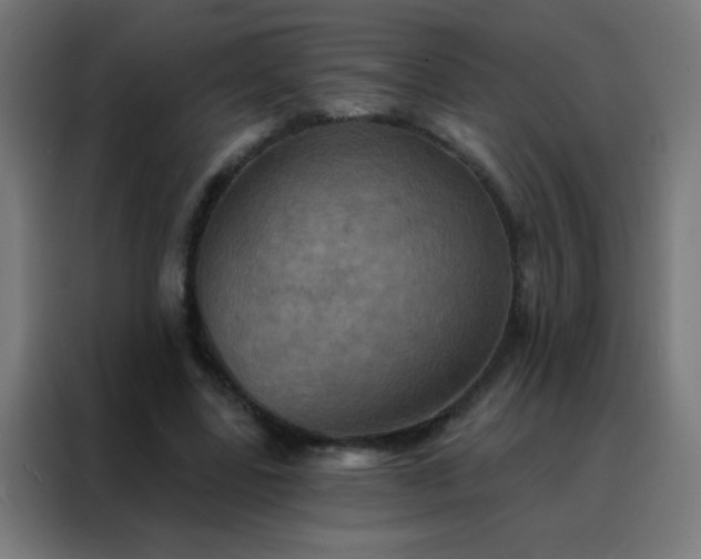X0000088200539200705221725