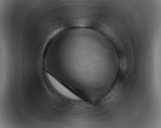 X0000088200540200705221725