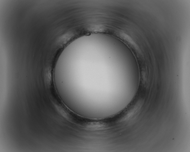 X0000088200541200705221725