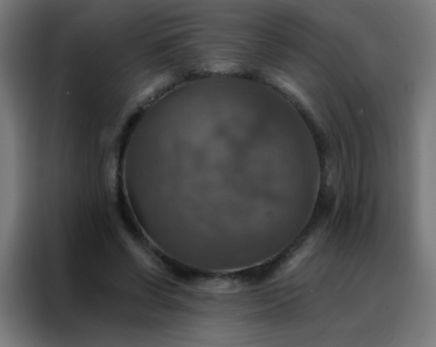 X0000088200542200705221725