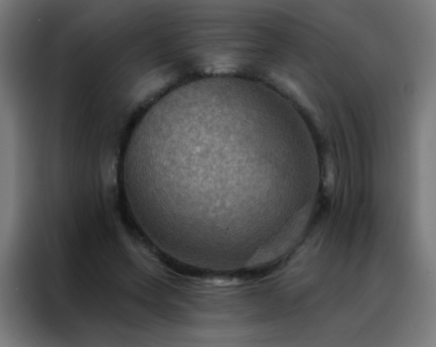 X0000088200543200705221725