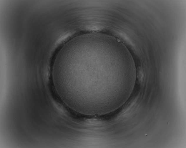 X0000088200544200705221725