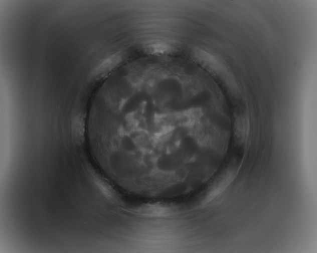 X0000088200545200705221725