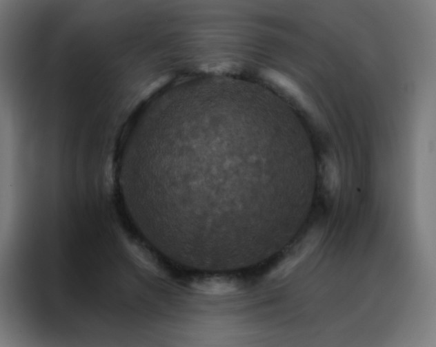 X0000088200546200705221725
