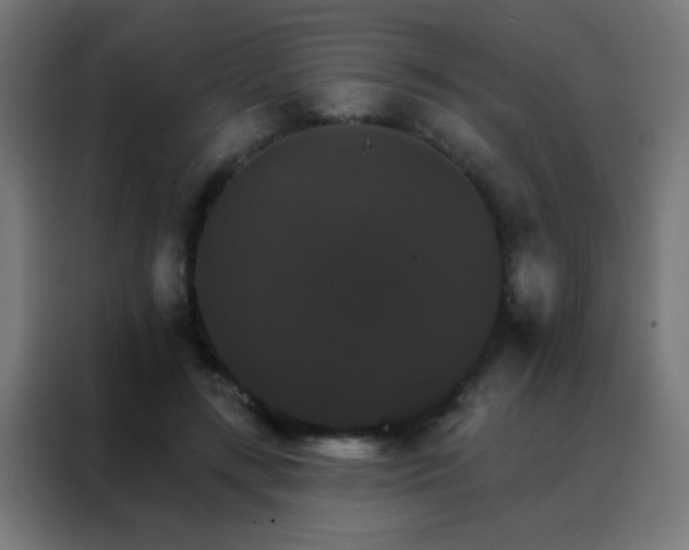 X0000088200547200705221725