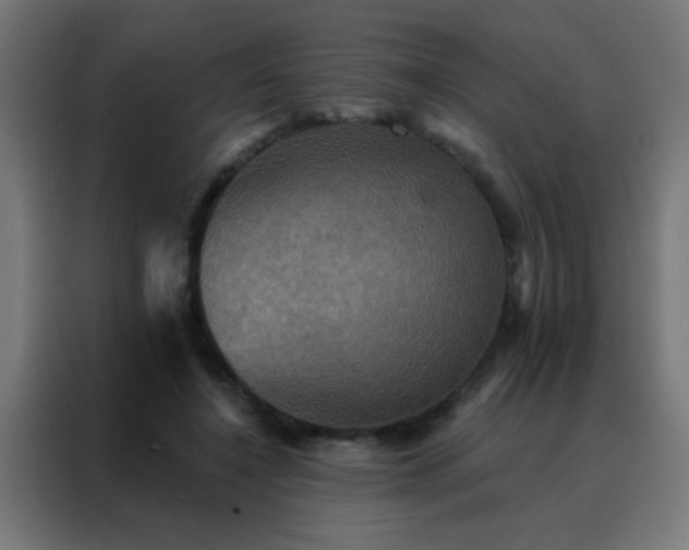 X0000088200548200705221725