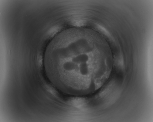 X0000088200549200705221725