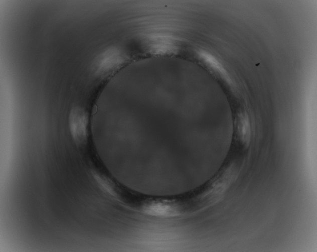 X0000088200550200705221725