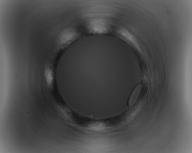 X0000088200551200705221725