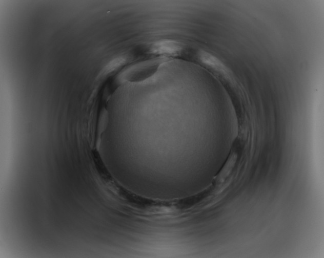 X0000088200552200705221725