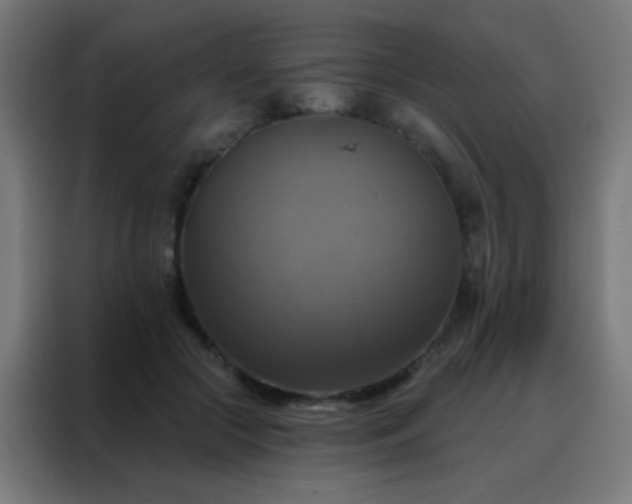X0000088200553200705221725