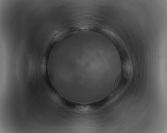 X0000088200554200705221725