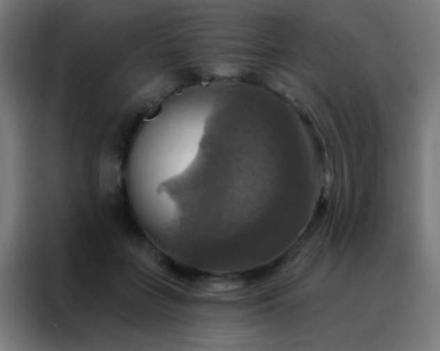 X0000088200555200705221725