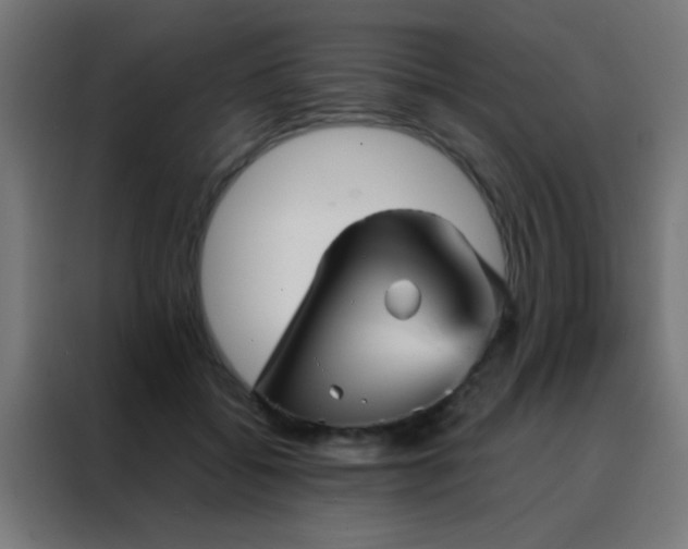 X0000088200556200705221725