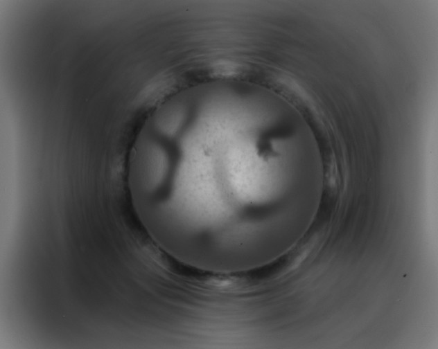 X0000088200557200705221725