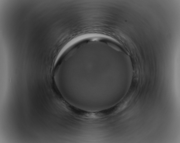 X0000088200558200705221725