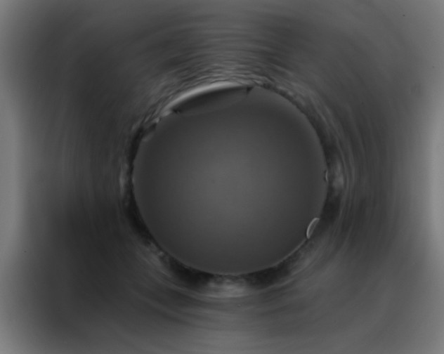 X0000088200559200705221725