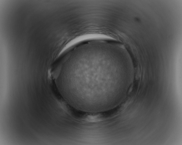 X0000088200560200705221725