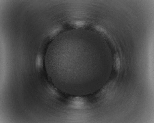 X0000088200562200705221725