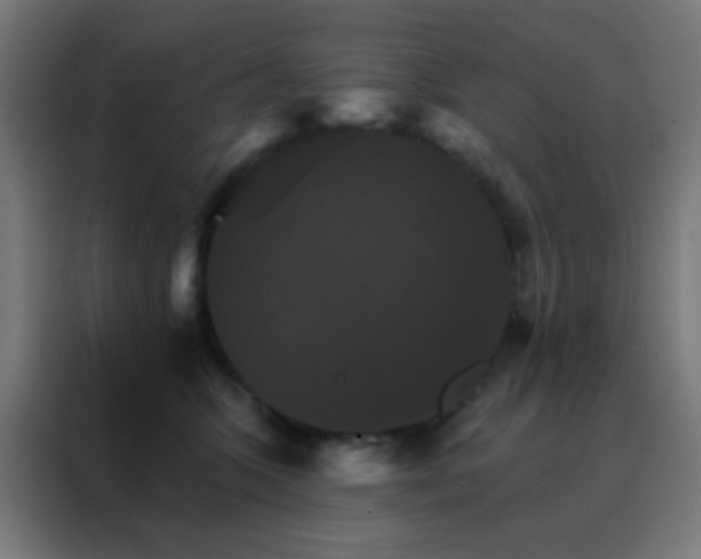 X0000088200563200705221725
