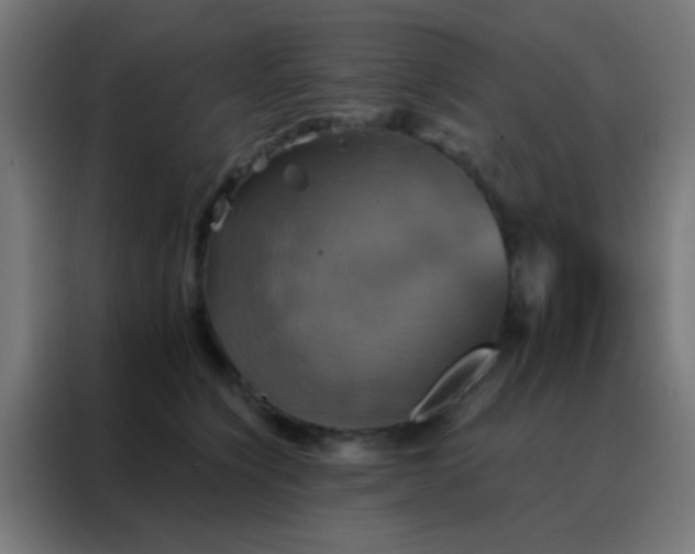 X0000088200564200705221725